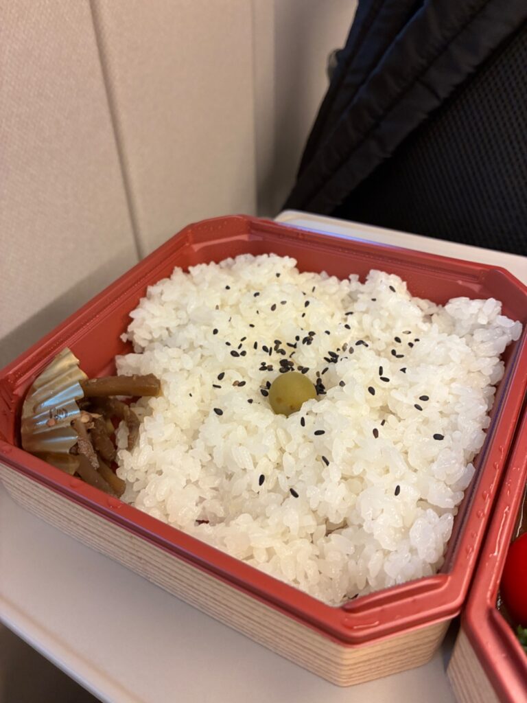 駅弁 つばめグリルの写真