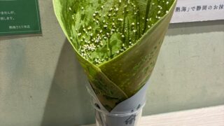 大熱海!!!アイス３段盛りクレープ