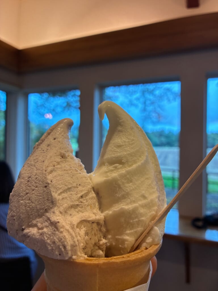 ナミキの写真