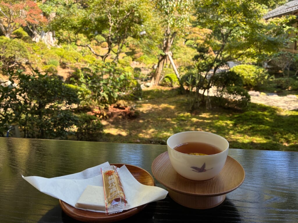 修禅寺 庭園茶席から眺める東海第一園とお茶