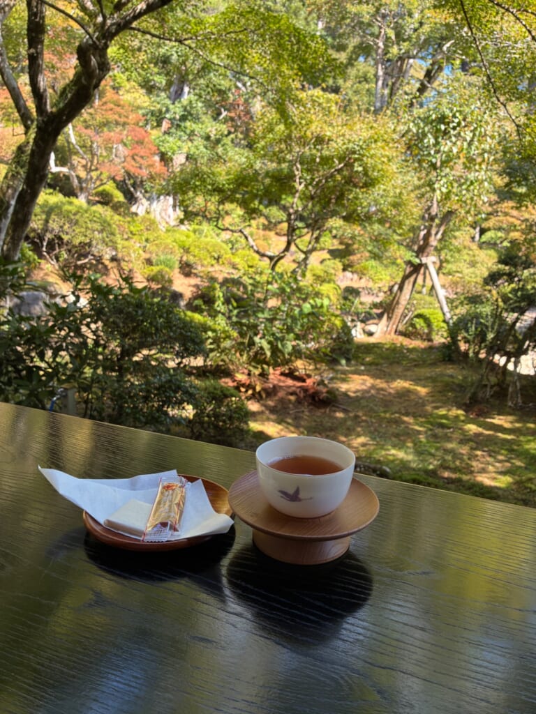 修禅寺 庭園茶席の雰囲気