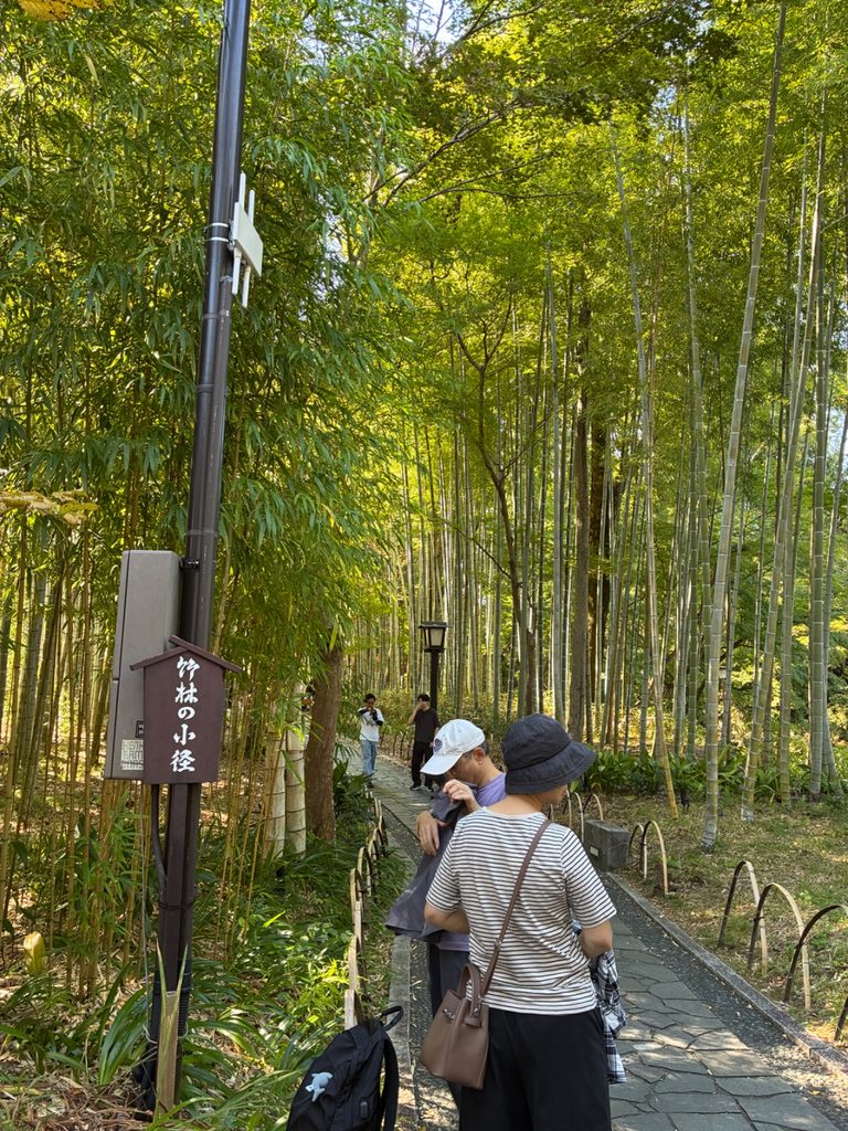 修善寺日帰りデートの写真